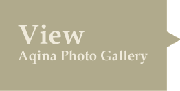 View Aqina Photo Gallery